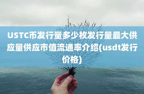 USTC币发行量多少枚发行量最大供应量供应市值流通率介绍(usdt发行价格)