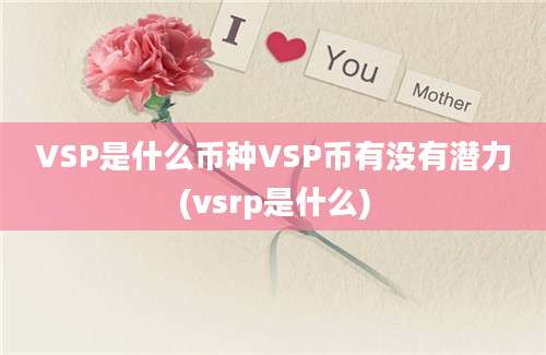 VSP是什么币种VSP币有没有潜力(vsrp是什么)