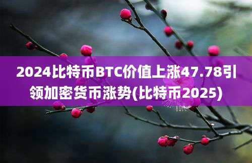 2024比特币BTC价值上涨47.78引领加密货币涨势(比特币2025)