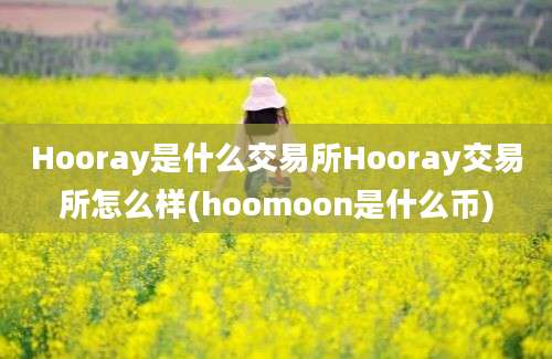 Hooray是什么交易所Hooray交易所怎么样(hoomoon是什么币)