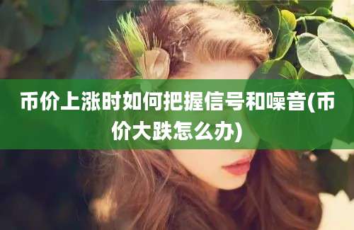 币价上涨时如何把握信号和噪音(币价大跌怎么办)