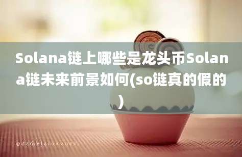 Solana链上哪些是龙头币Solana链未来前景如何(so链真的假的)