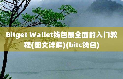 Bitget Wallet钱包最全面的入门教程(图文详解)(bitc钱包)