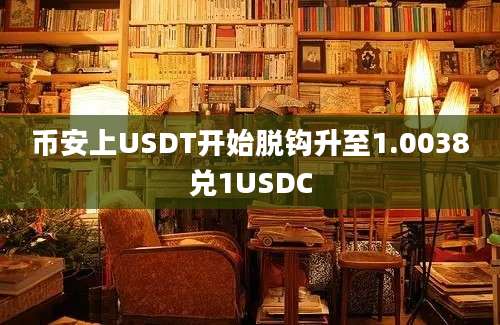 币安上USDT开始脱钩升至1.0038兑1USDC