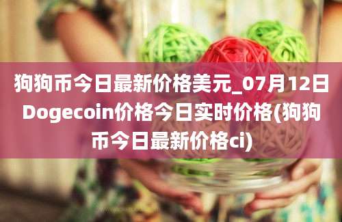 狗狗币今日最新价格美元_07月12日Dogecoin价格今日实时价格(狗狗币今日最新价格ci)