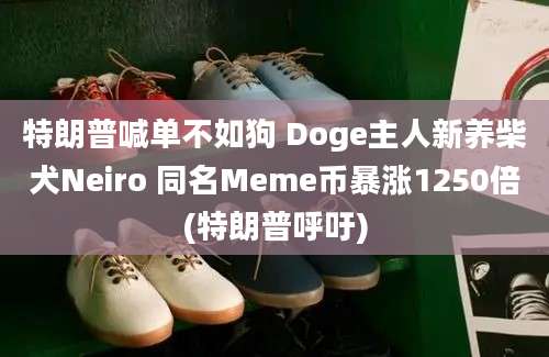 特朗普喊单不如狗 Doge主人新养柴犬Neiro 同名Meme币暴涨1250倍(特朗普呼吁)