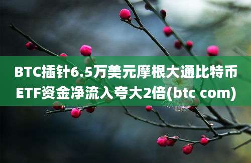 BTC插针6.5万美元摩根大通比特币ETF资金净流入夸大2倍(btc com)