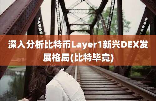 深入分析比特币Layer1新兴DEX发展格局(比特毕竟)