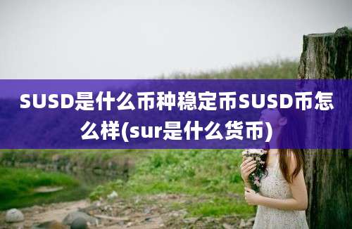 SUSD是什么币种稳定币SUSD币怎么样(sur是什么货币)