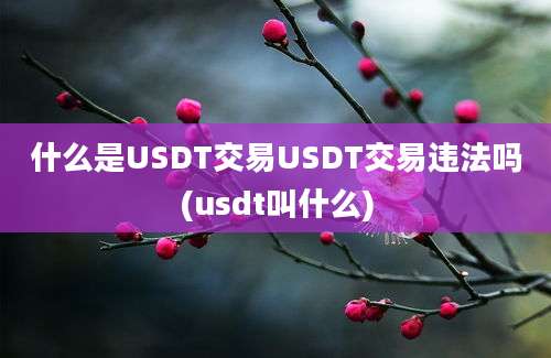 什么是USDT交易USDT交易违法吗(usdt叫什么)