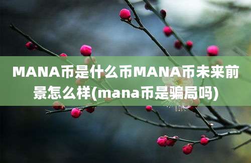 MANA币是什么币MANA币未来前景怎么样(mana币是骗局吗)