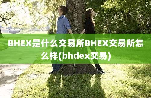 BHEX是什么交易所BHEX交易所怎么样(bhdex交易)