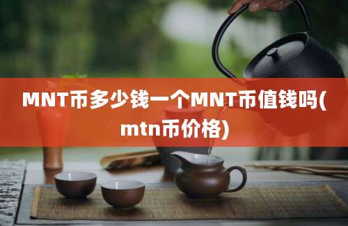 MNT币多少钱一个MNT币值钱吗(mtn币价格)