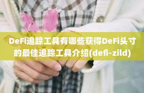 DeFi追踪工具有哪些获得DeFi头寸的最佳追踪工具介绍(defi-zild)