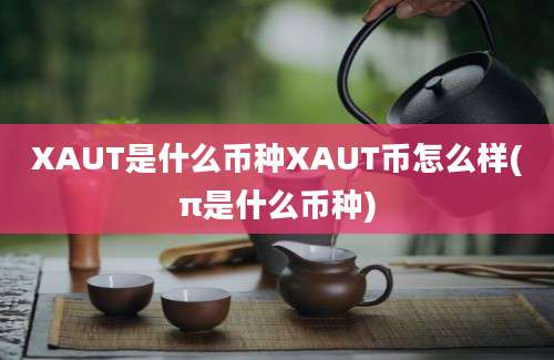 XAUT是什么币种XAUT币怎么样(π是什么币种)