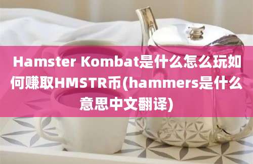 Hamster Kombat是什么怎么玩如何赚取HMSTR币(hammers是什么意思中文翻译)