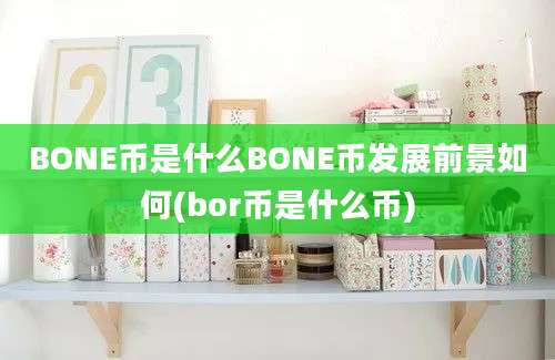 BONE币是什么BONE币发展前景如何(bor币是什么币)