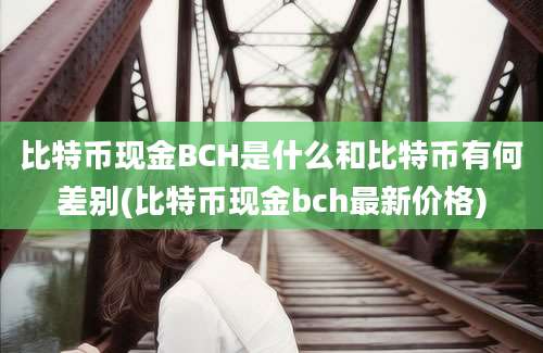 比特币现金BCH是什么和比特币有何差别(比特币现金bch最新价格)