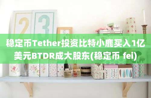 稳定币Tether投资比特小鹿买入1亿美元BTDR成大股东(稳定币 fei)