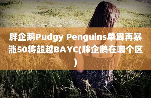 胖企鹅Pudgy Penguins单周再暴涨50将超越BAYC(胖企鹅在哪个区)