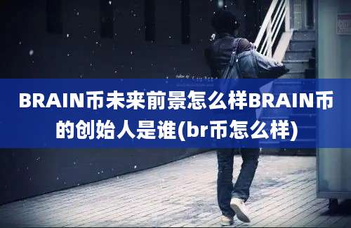 BRAIN币未来前景怎么样BRAIN币的创始人是谁(br币怎么样)