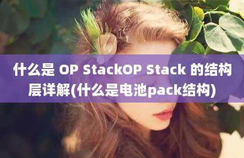 什么是 OP StackOP Stack 的结构层详解(什么是电池pack结构)