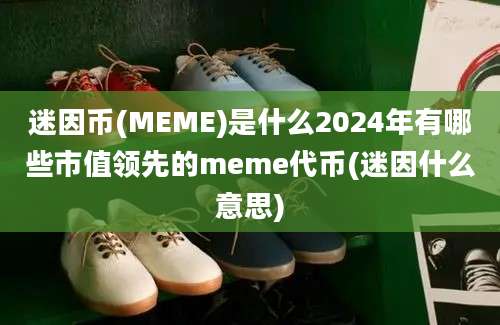 迷因币(MEME)是什么2024年有哪些市值领先的meme代币(迷因什么意思)