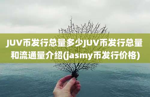 JUV币发行总量多少JUV币发行总量和流通量介绍(jasmy币发行价格)