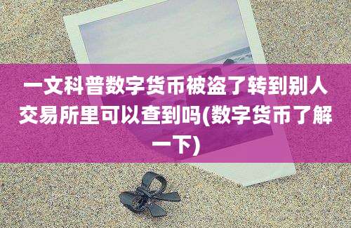 一文科普数字货币被盗了转到别人交易所里可以查到吗(数字货币了解一下)