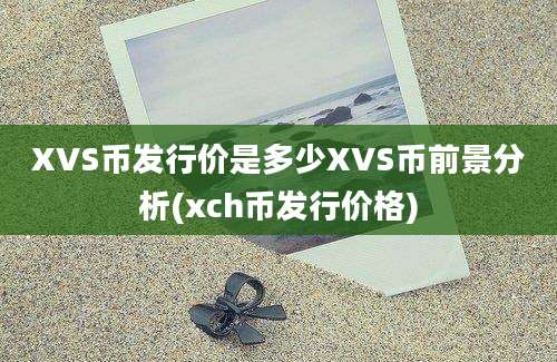 XVS币发行价是多少XVS币前景分析(xch币发行价格)