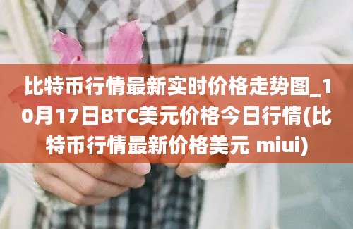 比特币行情最新实时价格走势图_10月17日BTC美元价格今日行情(比特币行情最新价格美元 miui)