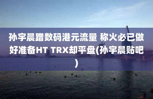 孙宇晨蹭数码港元流量 称火必已做好准备HT TRX却平盘(孙宇晨贴吧)