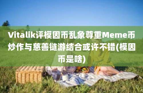 Vitalik评模因币乱象尊重Meme币炒作与慈善链游结合或许不错(模因币是啥)