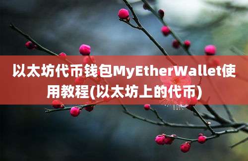 以太坊代币钱包MyEtherWallet使用教程(以太坊上的代币)