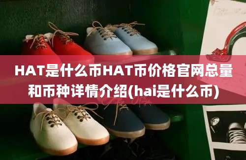 HAT是什么币HAT币价格官网总量和币种详情介绍(hai是什么币)