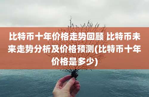 比特币十年价格走势回顾 比特币未来走势分析及价格预测(比特币十年价格是多少)