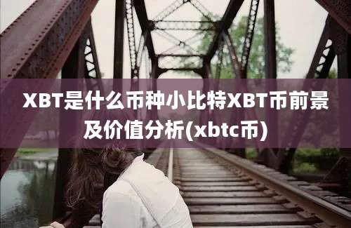 XBT是什么币种小比特XBT币前景及价值分析(xbtc币)