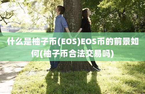 什么是柚子币(EOS)EOS币的前景如何(柚子币合法交易吗)