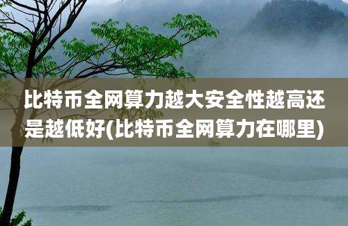 比特币全网算力越大安全性越高还是越低好(比特币全网算力在哪里)