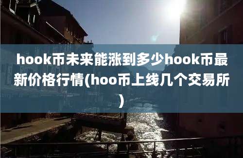 hook币未来能涨到多少hook币最新价格行情(hoo币上线几个交易所)