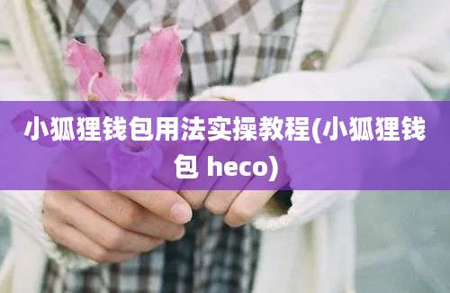 小狐狸钱包用法实操教程(小狐狸钱包 heco)