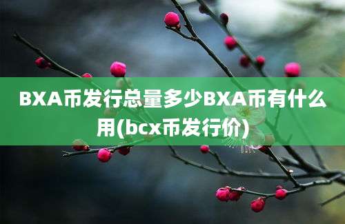 BXA币发行总量多少BXA币有什么用(bcx币发行价)