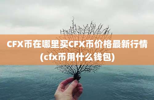 CFX币在哪里买CFX币价格最新行情(cfx币用什么钱包)