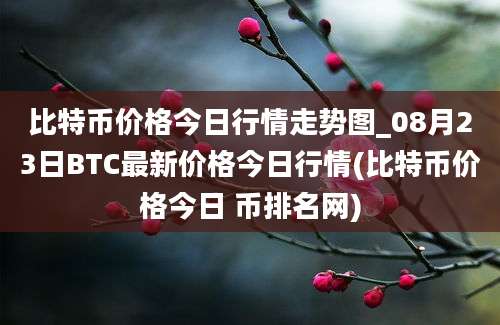 比特币价格今日行情走势图_08月23日BTC最新价格今日行情(比特币价格今日 币排名网)