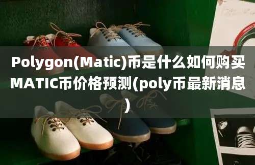 Polygon(Matic)币是什么如何购买MATIC币价格预测(poly币最新消息)