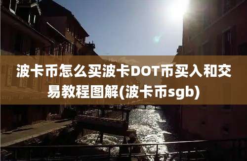 波卡币怎么买波卡DOT币买入和交易教程图解(波卡币sgb)