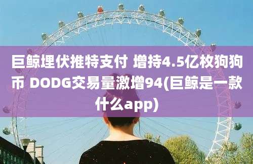 巨鲸埋伏推特支付 增持4.5亿枚狗狗币 DODG交易量激增94(巨鲸是一款什么app)