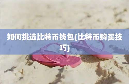 如何挑选比特币钱包(比特币购买技巧)