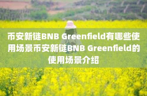 币安新链BNB Greenfield有哪些使用场景币安新链BNB Greenfield的使用场景介绍