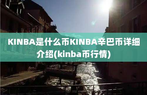 KINBA是什么币KINBA辛巴币详细介绍(kinba币行情)